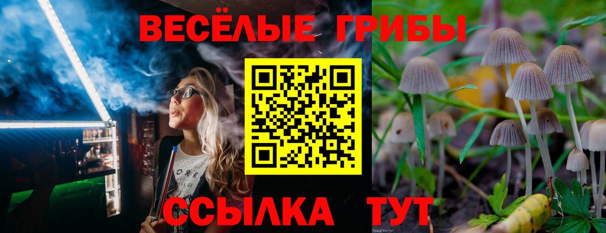 Галлюциногенные грибы ЛСД Кизилюрт