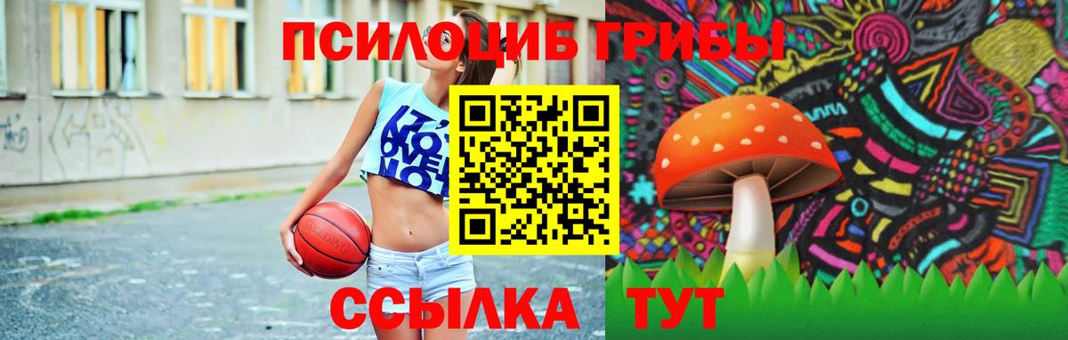 Кизилюрт  наркотики  Вход с VPN  Галлюциногенные грибы Psilocybine cubensis  Галлюциногенные грибы MAGIC MUSHROOMS 